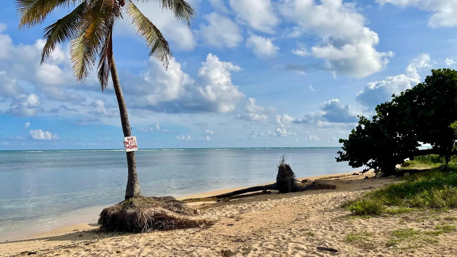 Kite Beachfront Villa In Las Picuaes Rio Grande Porto Riko